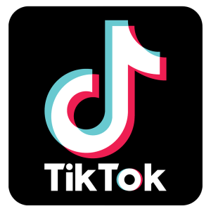 Choosing the Best Social Media Platforms for Small Business Success 4 social media platforms (TikTok)